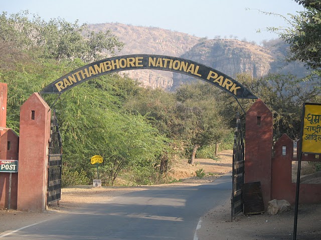 Ranthambhore Tiger safari park