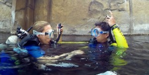 PADI Scuba Diver courses