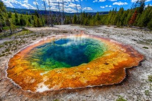 Yellowstone