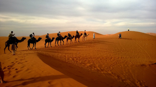 caravan desert safari dune