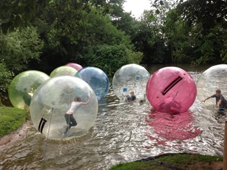 zorbing