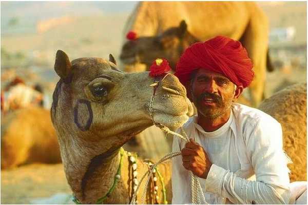 Pushkar Camel Fair