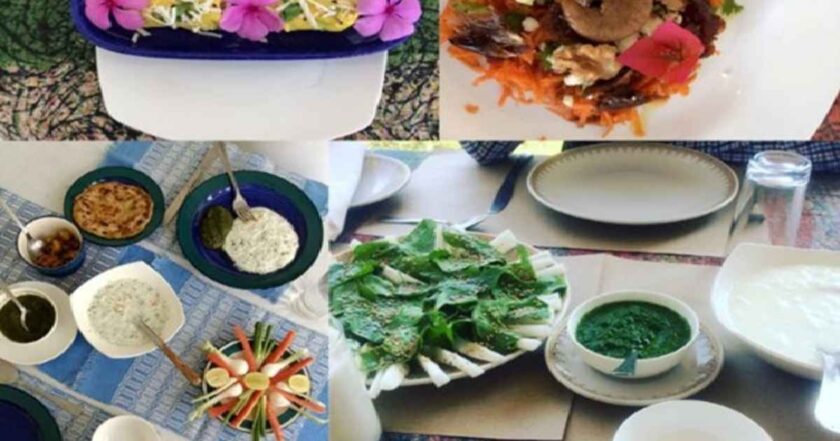 Eco Tourism and Wellness at Savista Retreat